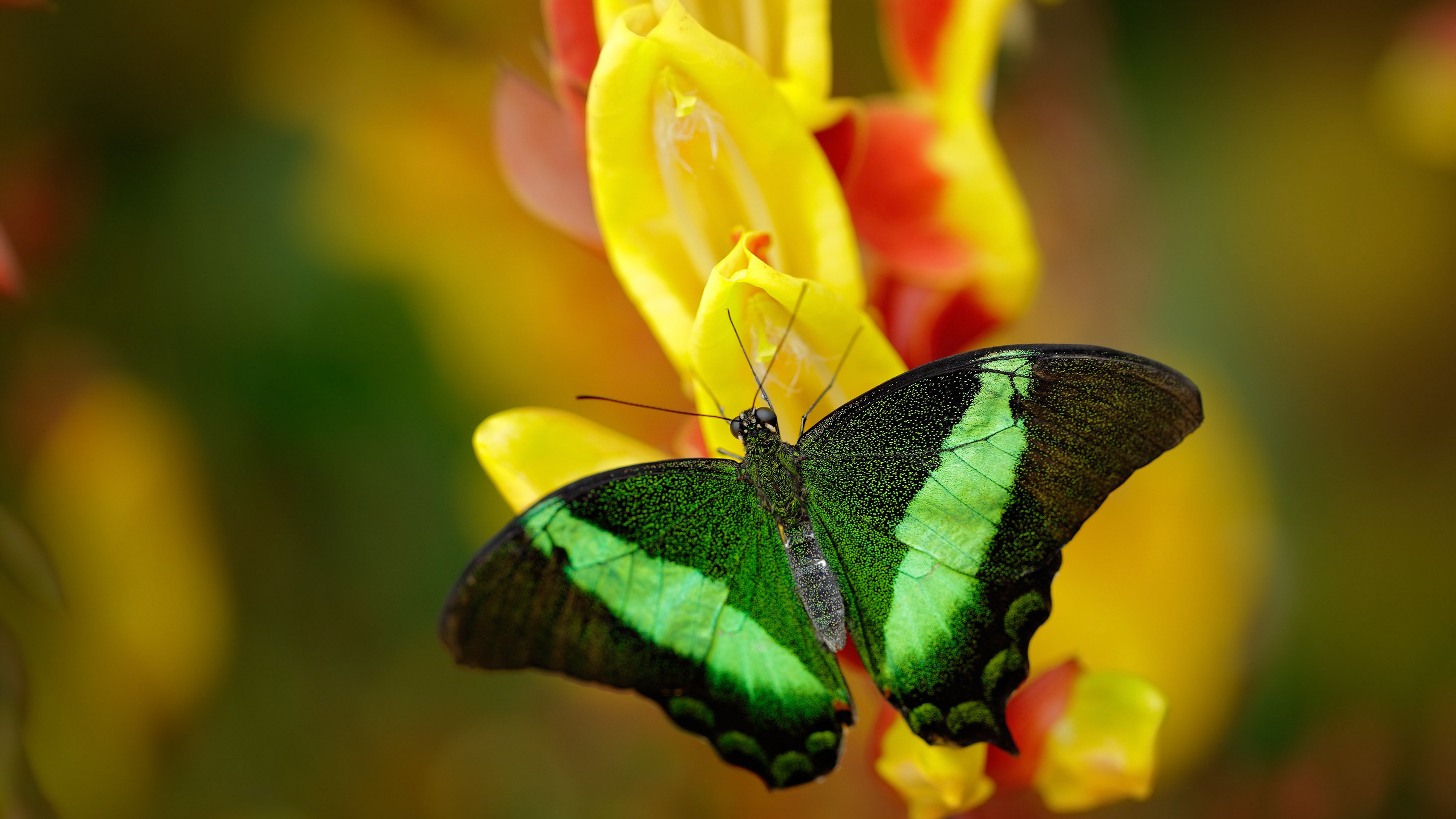 “天府新区沙滩合球挑战:快速、灵活、强悍”