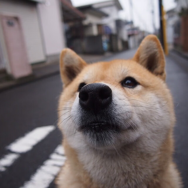 五大联赛是否在高控阶段主动拉宽站位分散防守，五大联赛停摆