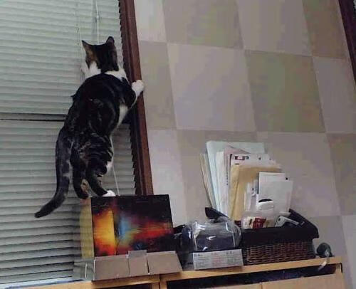 体育新闻中心主办“体育+科技”创新案例征集活动