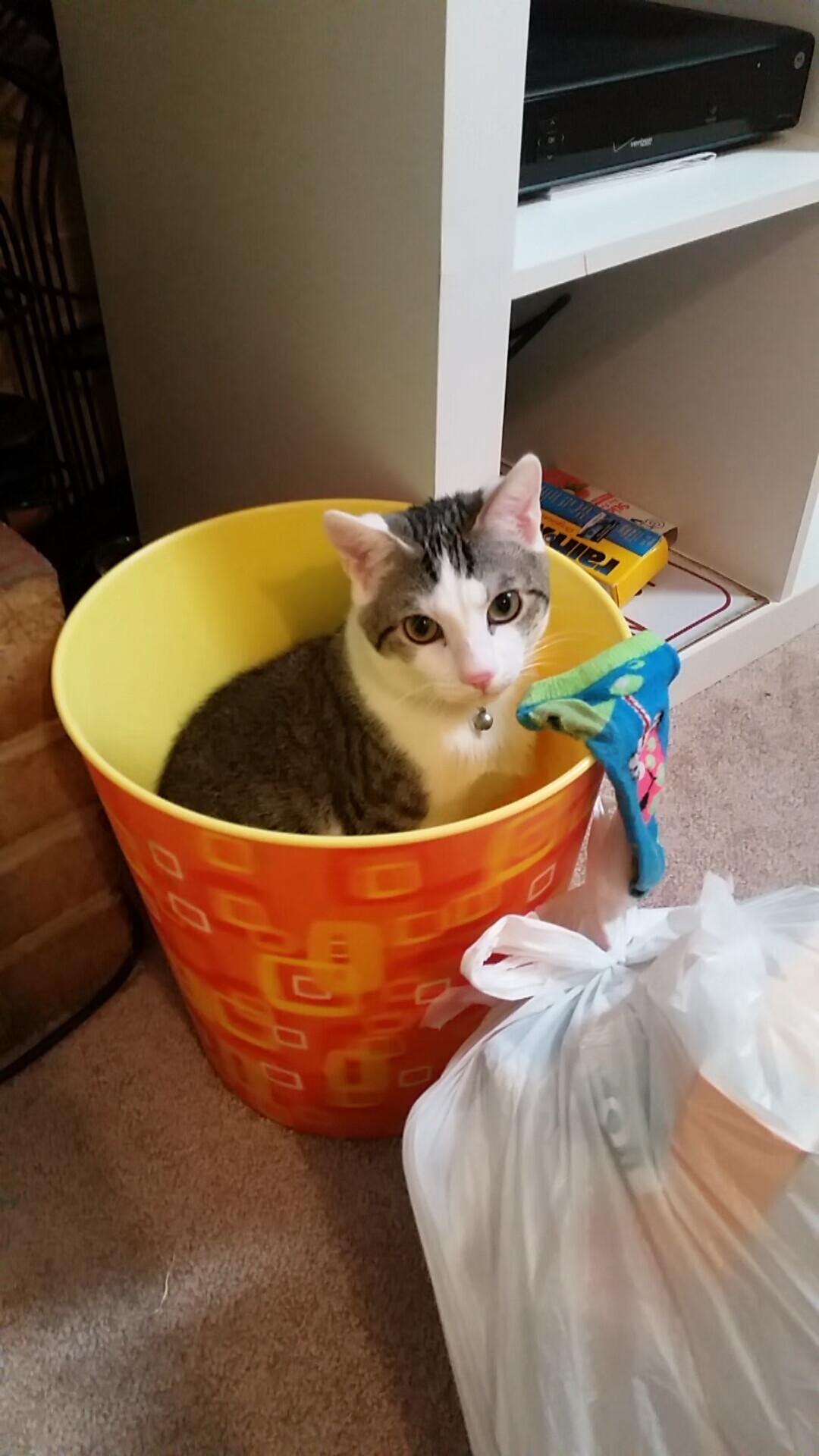 乐鱼体育官网下载-网球新星崭露头角 年仅十六岁闯入八强，网球名星