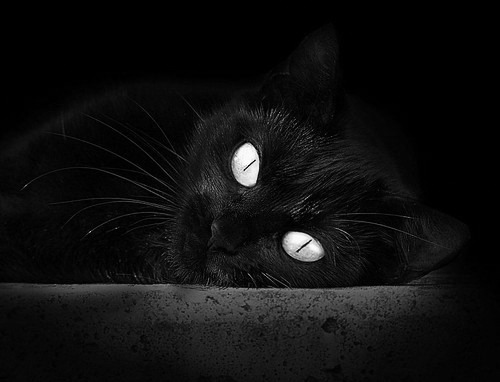 乐鱼体育登陆-门兴格拉德巴赫阵容深度成为优势所在，门兴格拉德巴赫实力怎么样