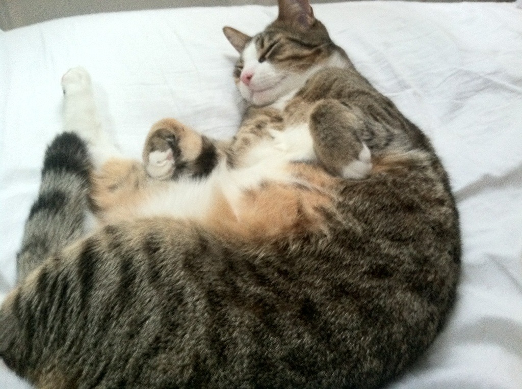 中国足球推动建设女子青训体系打造长远发展基础,女足青训中心最新消息