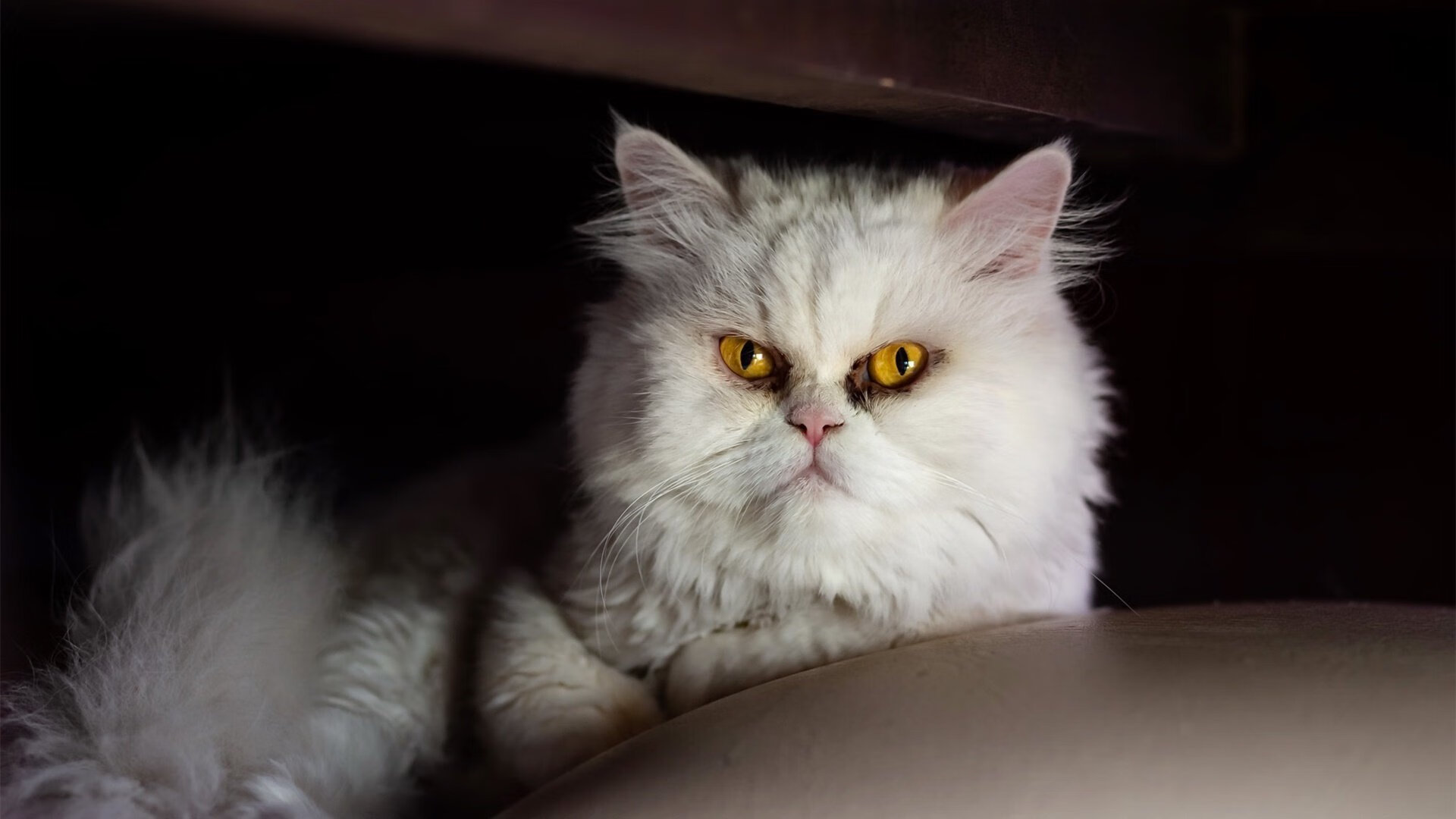 中甲球队建立队员健康日志系统提升身体管理水平