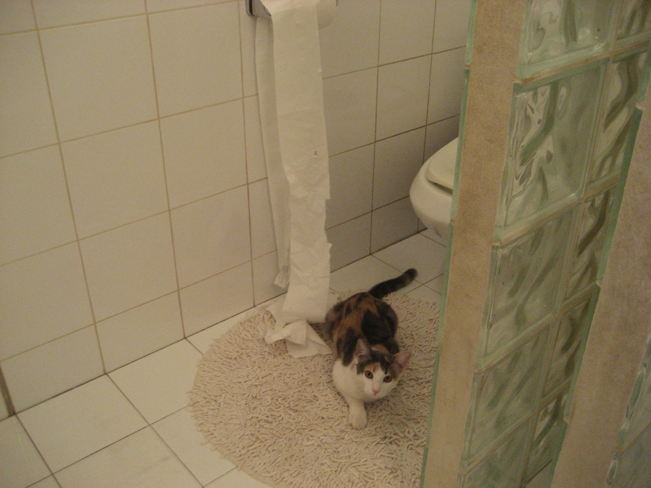 乐鱼体育网页登录-凯瑟琳·伯科夫冲刺阶段技压群雄，凯瑟琳keener