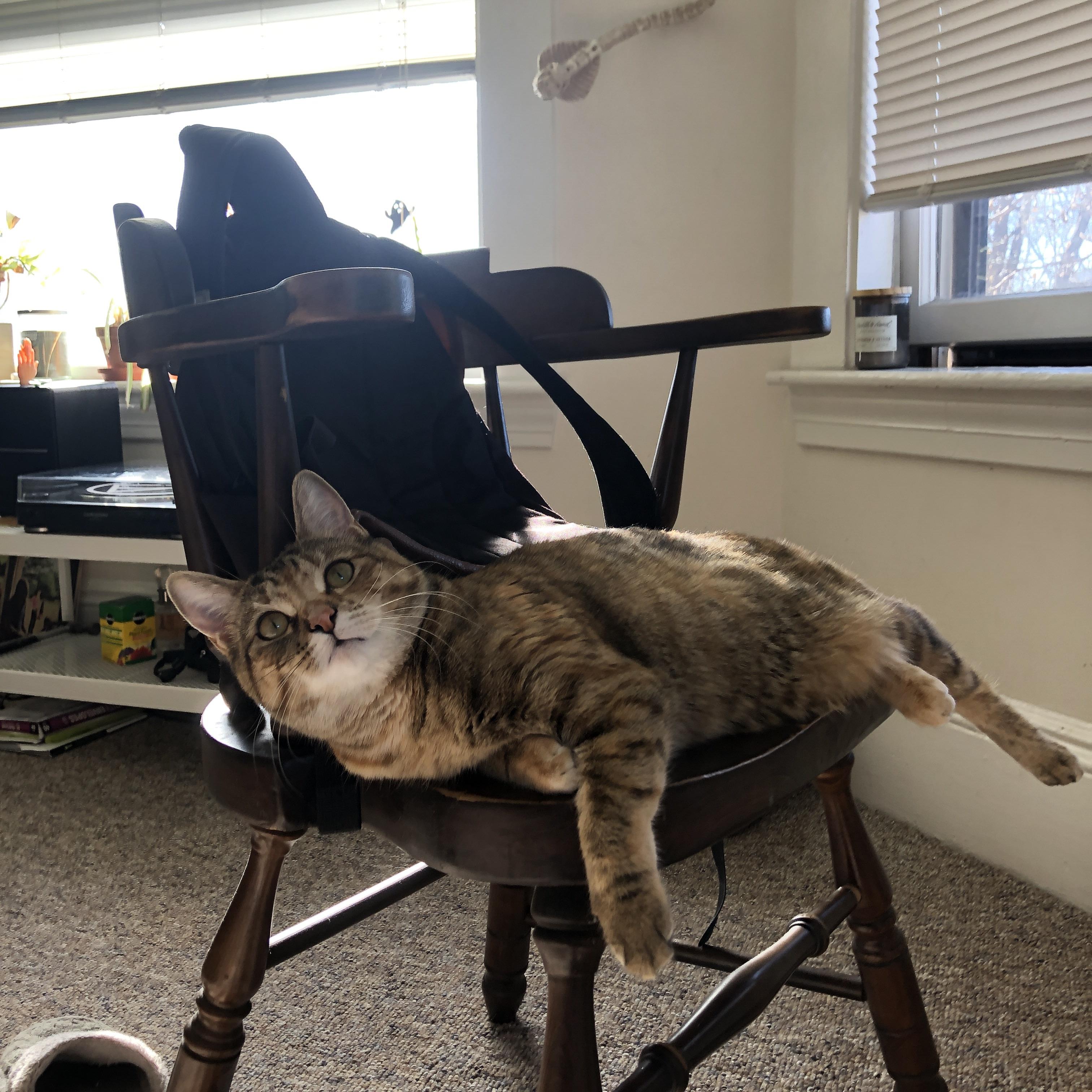 勇士小前锋完成绝杀后泪洒球场,勇士第七顺位小前锋