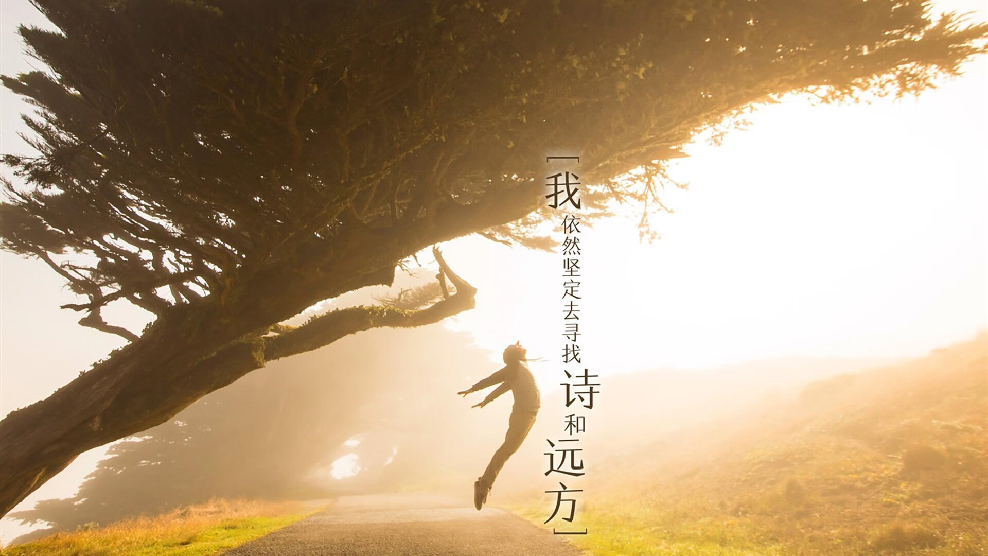 张伟丽与冠军对练提前适应强度,张伟丽冠军赛几月几号