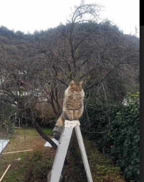 乐鱼体育官网投注-德甲节奏飞快：攻防转换精彩不断！，德甲对抗