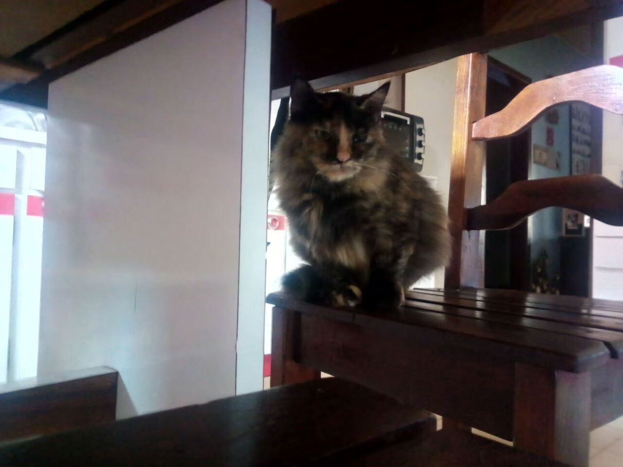 未来足球生态:虚拟现实+增强现实打造沉浸式比赛体验,虚拟足球动画片