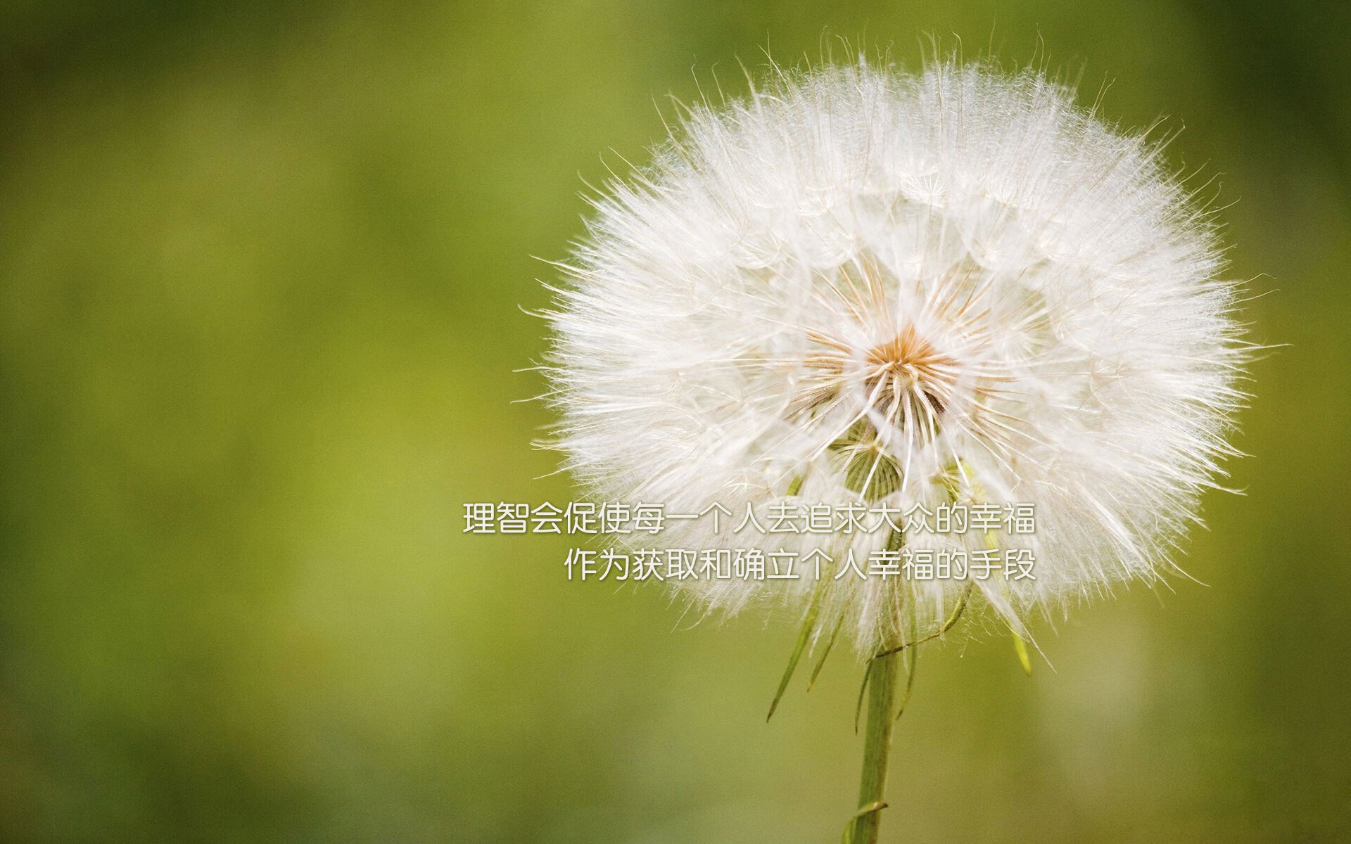 乐鱼体育网页登录-詹姆斯再创得分高峰挑战生涯新纪录，詹姆斯总得分突破35000