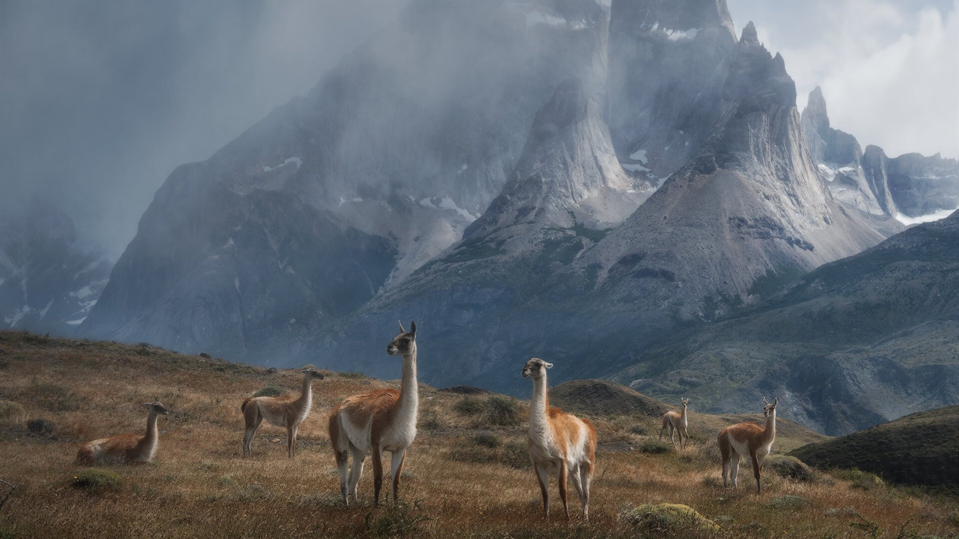 跳水动作流畅韩国实力显现，韩国跳水2021